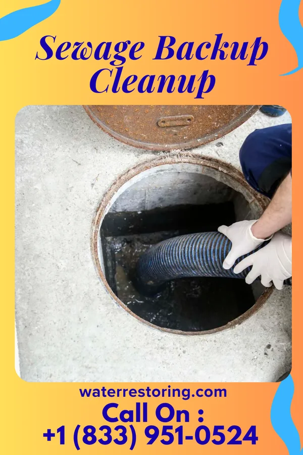 Sewage Backup Cleanup in Brockway, PA